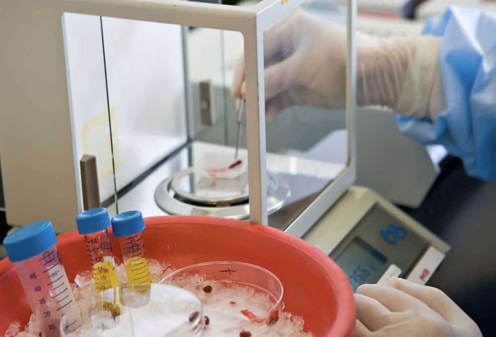 Doctor working in lab with lab samples